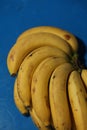 Vertical closeup of a banana hand with ripe yellow bananas on a blue table Royalty Free Stock Photo