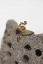 Vertical closeup of a beautiful golden snake ring displayed on a rock