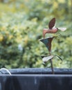 Vertical closeup of a bronze hummingbird on top of a mini water fountain at the Woodlands Garden