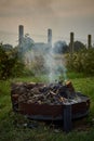 Vertical closeup of burning wood on fire pit on the grass in the yard Royalty Free Stock Photo