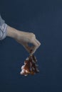 Vertical closeup of a female hand holding a grape, in front of a blue background, artsy aesthetic