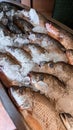 Vertical closeup of fresh fish in boxes with ice in a market