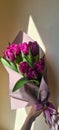 Vertical closeup of fresh wrapped violet tulips on a white background under sunlight