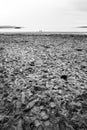 Vertical closeup greyscale shot of the human traces on the sand in the beach Royalty Free Stock Photo