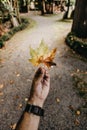 Vertical closeup of a hand holding a green-brown dead maple leaf in a park