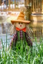 Vertical closeup of a happy scarecrow captured outdoors behind the green grass Royalty Free Stock Photo