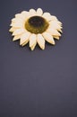Vertical closeup high angle shot of a sunflower on a black surface