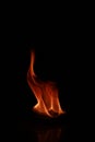 Vertical closeup illustration of a camphor flame on the dark background