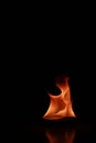 Vertical closeup illustration of a camphor flame on the dark background