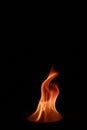 Vertical closeup illustration of a camphor flame on the dark background