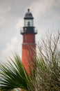 Vertical closeup of a leafless bush, palm leaves, and a red lighthouse in the background. Florida. Royalty Free Stock Photo