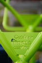 Vertical closeup of a light green outdoor fitness machine wth text