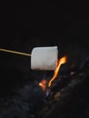 Vertical closeup of a marshmallow roasting on a stick on fire Royalty Free Stock Photo