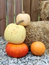 Vertical closeup of orange, white, yellow pumpkins with a haybale.