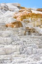 Vertical closeup of Palette Spring, Travertine Terrace, Mammoth Hot Springs, Yellowstone Park, USA