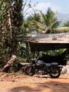 Vertical closeup of a royal Enfield against old mopet classical indian shet trees background Royalty Free Stock Photo