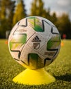 Vertical closeup shot of an Adidas Nativo MLS soccer ball on a field at Wilson Playfields, Kent, USA