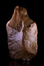 Vertical closeup shot of an ancient brown stone axehead from the Paleolithic period