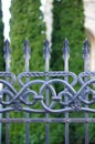 Vertical closeup shot of the beautiful patterned details of an iron fence Royalty Free Stock Photo