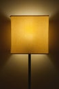Vertical closeup shot of a beautiful yellow lampshade near the wall