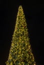 Vertical closeup shot of a big Christmas tree illuminated by small lightson a black sky background Royalty Free Stock Photo