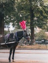 Vertical closeup shot of a black horse with red feathers on its head on the street