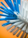 Vertical closeup shot of blue and white bristles on a toilet brush Royalty Free Stock Photo