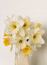 Vertical closeup shot of a bouquet of narcissus flowers on a white background Royalty Free Stock Photo