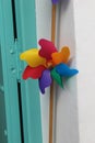 Vertical closeup shot of colorful pinwheels for children