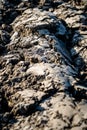 Vertical closeup shot of the cracks on the dried soil captured on a sunny day Royalty Free Stock Photo