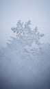 Vertical closeup shot of details on a beautiful intricate snowflake