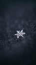 Vertical closeup shot of details on a beautiful intricate snowflake