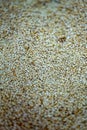 Vertical closeup shot of details on a pile of sesame seeds