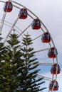 Vertical closeup shot of a Ferris wheel near pine trees in amusement park, Fremantle, Australia