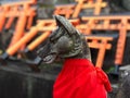 Vertical closeup shot of a fox statue in the Fushimi Inari Shrine Royalty Free Stock Photo