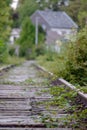 Vertical closeup shot of green weeds growing on a train track Royalty Free Stock Photo