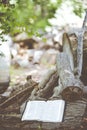 Vertical closeup shot of the holy Bible placed on a piece of wood in a natural environment