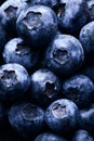 Vertical closeup shot of a lot of blueberries - great for background or wallpaper Royalty Free Stock Photo