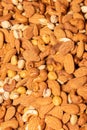 Vertical closeup shot of pan-fried, tasty, salted mixed nuts Royalty Free Stock Photo