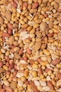 Vertical closeup shot of pan-fried, tasty, salted mixed nuts Royalty Free Stock Photo