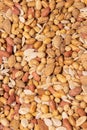 Vertical closeup shot of pan-fried, tasty, salted mixed nuts Royalty Free Stock Photo