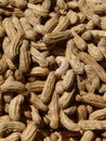 Vertical closeup shot of a pile of tasty peanuts in shells