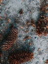 Vertical closeup shot of pinecones on the ground
