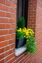 Vertical closeup shot of a plot with yellow flowers in front of a window of a brick wall Royalty Free Stock Photo