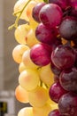 Vertical closeup shot of red and green grapes on a sunny day Royalty Free Stock Photo