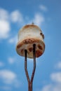 Vertical closeup shot of a roasted marshmallow on a metal stick against a blue sky Royalty Free Stock Photo