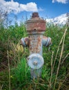 Vertical closeup shot of a rusty fire hydrant in the grass Royalty Free Stock Photo