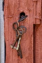 Vertical closeup shot of rusty, old keys hanging from the wooden door Royalty Free Stock Photo