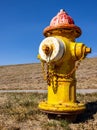 Vertical closeup shot of a rusty yellow fire hydrant on a rural field Royalty Free Stock Photo