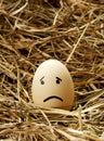 Vertical closeup shot of a sad face painted on an egg in the straw Royalty Free Stock Photo